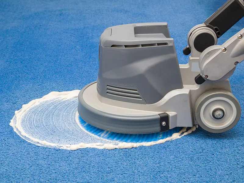 Professional carpet cleaning