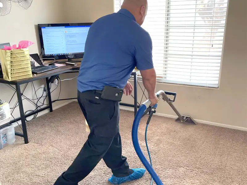 Professional carpet and floor cleaning