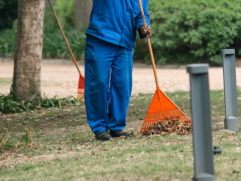 Trash-out cleanup service