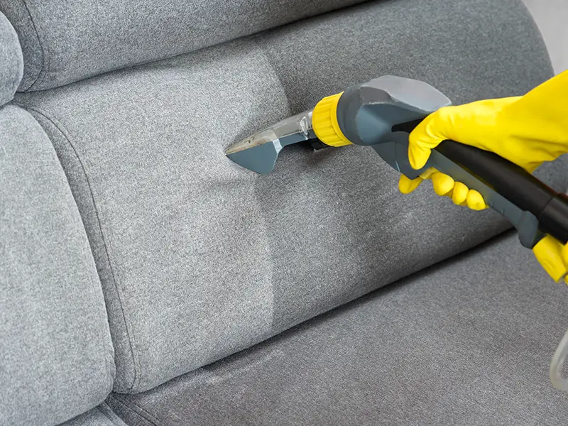 Upholstery cleaning service